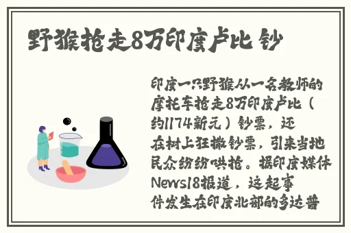 量近2018中文字需大全规须1