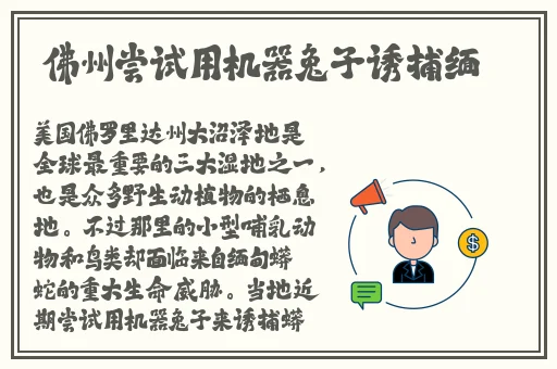 病勤楼栋1-12集免费观看动画